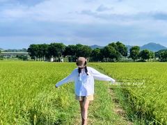 -光明小镇欢乐田园