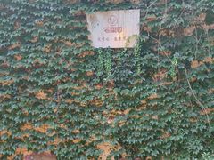-宅里香.自然餐厅(湘大店)