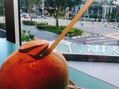 -新加坡瑞士史丹福酒店