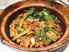 沙姜嗜鸡-煲煲好(朝阳门店)