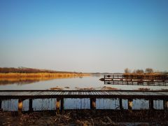 -西青郊野公园