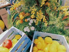 -沛家·西餐Brunch·直火料理