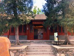 -大觉寺-停车场