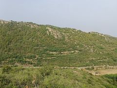 -府君山公园