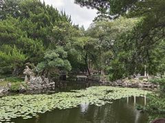 -叶家花园