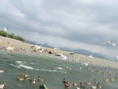 -深圳湾公园(南山区)