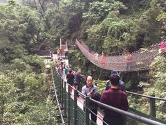 -太鲁阁公园