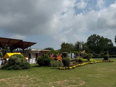 -上海长兴岛郊野公园