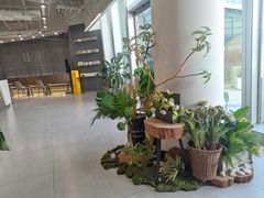 -四叶咖咖啡(昆明恒隆PRO店)