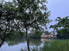 -新荣记(西溪湿地店)