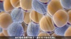 -肥三针腧穴瘦身馆
