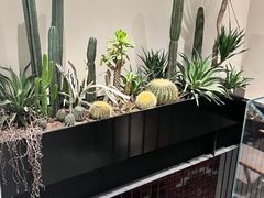 -J Create城市露营咖啡·简餐·宠物(上海动物园店)