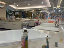 -宝生月子中心·独栋独院式(南山店)
