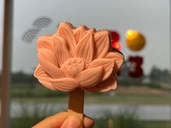 -嘉北郊野公园