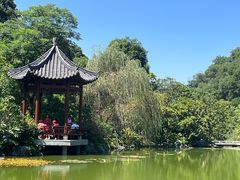 -云溪植物园