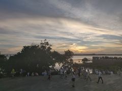 -宝安西湾红树林湿地公园