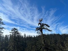 -瓦屋山景区
