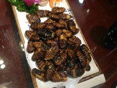 -八大碗(吉祥店)