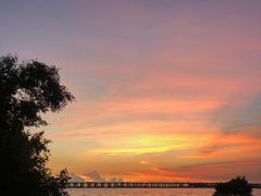 -宝安西湾红树林湿地公园