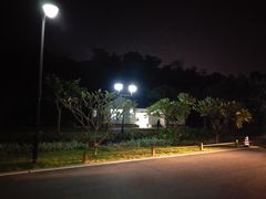 -野狸岛