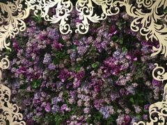 -鸿星海鲜酒家(格兰中心店)