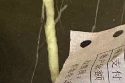 -深圳春天阳光医院·轮廓抗衰中心