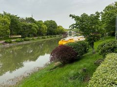 -上海海湾国家森林公园