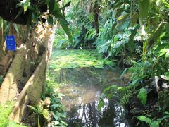 -中国科学院西双版纳热带植物园