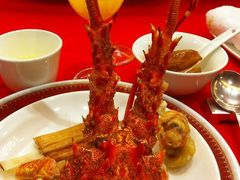 龙虾-海逸海鲜酒家(古北店)