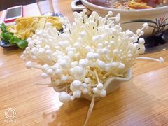 -红满天红焖羊排(大西菜行店)