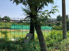 -香木香羊西夏特色烤全羊(沈阳世博园店)