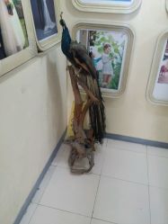 -麦莎MA3A摄影工作室(美兰金邸店)