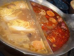 台式麻辣花胶鸡鸳鸯锅-湊湊火锅·茶憩(世博大道店)