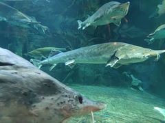 -华夏文旅海洋公园