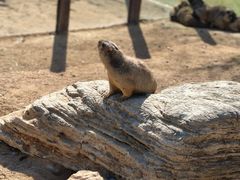 -茅山东方盐湖城景区