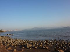 -深圳湾公园(南山区)
