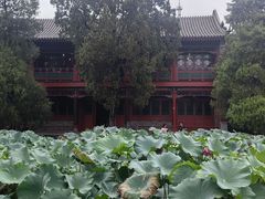 -莲池书院博物馆