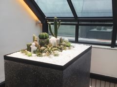 -大树餐厅(红旗街万达店)