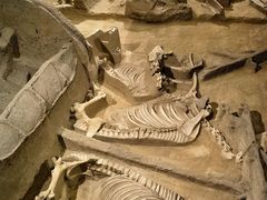 -洛阳周王城天子驾六博物馆