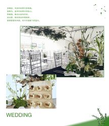 -HELLO你好婚礼婚庆策划