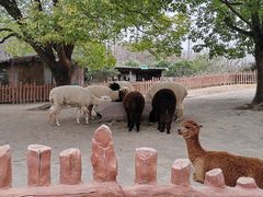 -上海野生动物园