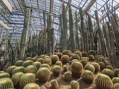 -南山植物园