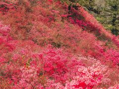 -木兰云雾山