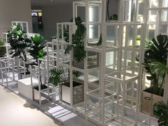 -叶子与茶(苏宁广场店)