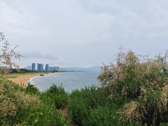 -烟台自然博物馆