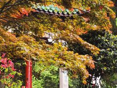 -岳麓山风景名胜区