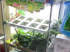 -艾克瑞特AI机器人·少儿编程·STEAM教育(万达校区)