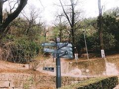 -延安杨家岭革命旧址