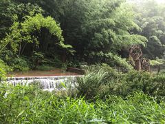 -四洞沟景区