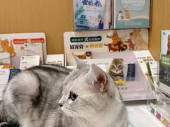 -pd派德宠物中心医院24H急重症·眼科中心·血液透析中心(嵩山北路店)